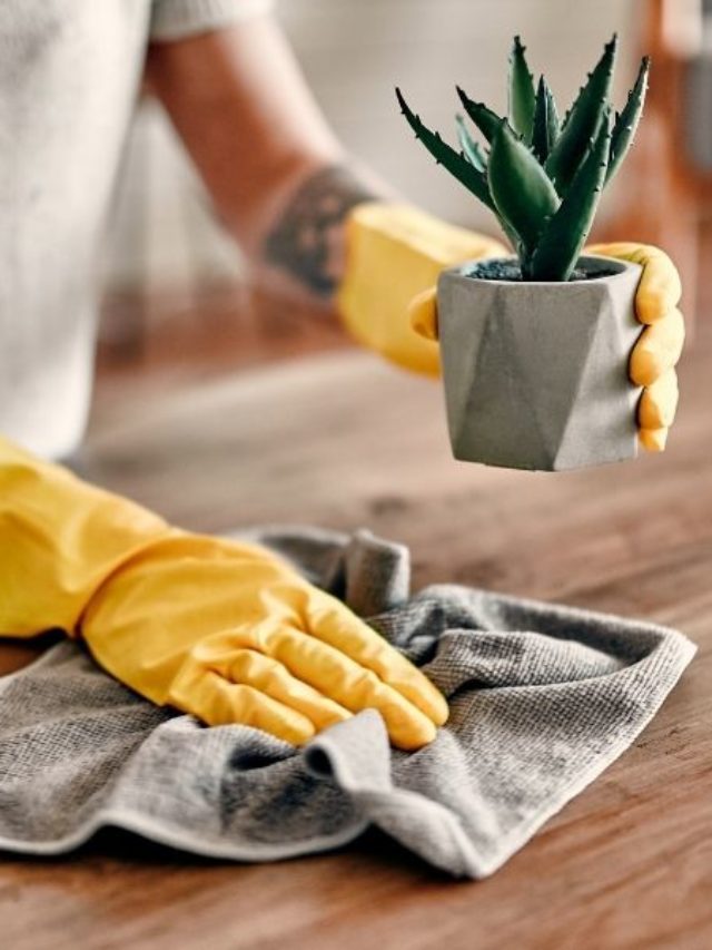 5 Tips for Removing Toxins From Your Home